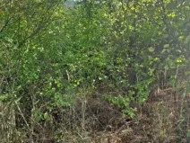 Prodej pozemku, Hlince, 192 m2