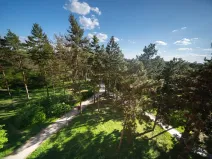 Prodej bytu 3+1, Brno, Haškova, 67 m2