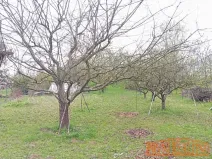 Prodej chaty, Uherský Brod, 22 m2