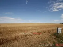 Prodej pole, Blanné, 24000 m2