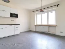 Pronájem bytu 3+kk, Praha - Žižkov, Biskupcova, 81 m2