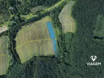 Prodej podílu pole, Žlutava, 2554 m2