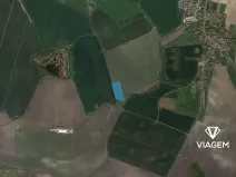 Prodej pole, Cholenice, 17822 m2