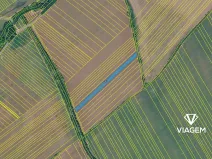 Prodej pole, Drslavice, 3500 m2