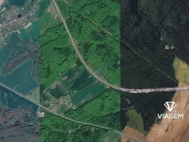 Prodej pole, Hrabyně, 2356 m2