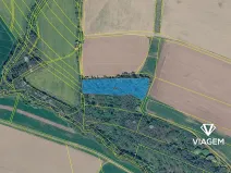 Prodej lesa, Bravantice, 8844 m2