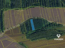 Prodej lesa, Hradiště, 2578 m2