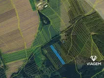 Prodej lesa, Hradiště, 12138 m2