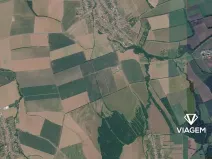 Prodej pole, Nivnice, 8001 m2