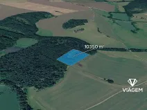 Prodej podílu lesa, Kardašova Řečice, 1725 m2