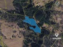 Prodej podílu lesa, Tábor, 3740 m2