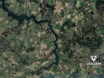 Prodej lesa, Šetějovice, 1557 m2