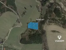 Prodej lesa, Řendějov, 6061 m2