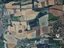 Prodej podílu lesa, Nové Strašecí, 7545 m2