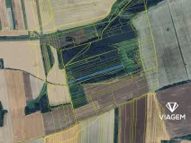 Prodej podílu lesa, Nové Strašecí, 3148 m2