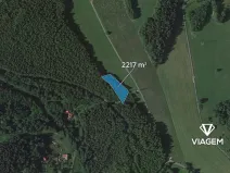Prodej lesa, Loužnice, 2217 m2