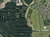 Prodej lesa, Komárov, 745 m2