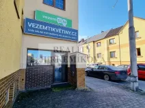 Pronájem obchodního prostoru, České Budějovice, Strádova, 22 m2