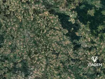 Prodej lesa, Přibyslav, 1542 m2