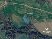 Prodej lesa, Jalubí, 2603 m2