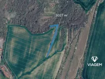 Prodej lesa, Bučovice, 3027 m2