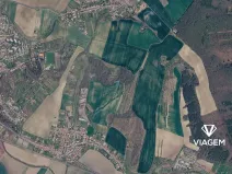 Prodej lesa, Bučovice, 3027 m2