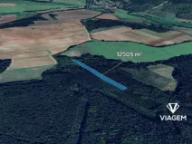 Prodej podílu lesa, Pnětluky, 5210 m2