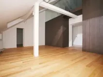 Pronájem atypického bytu, Praha - Bubeneč, U akademie, 120 m2