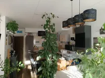 Prodej bytu 2+kk, Praha - Vysočany, Pod Harfou, 53 m2
