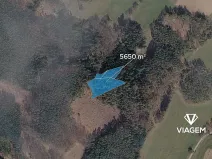 Prodej lesa, Řečice, 5650 m2