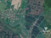 Prodej lesa, Horní Lhota, 1346 m2