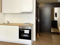 Pronájem bytu 1+kk, Brno, Francouzská, 22 m2