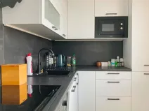 Pronájem bytu 1+1, Ostrava, Opavská, 34 m2