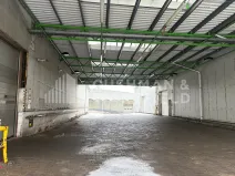 Pronájem výrobních prostor, Bakov nad Jizerou, Na Výsluní, 5848 m2