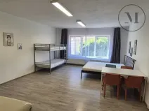 Pronájem bytu 1+kk, České Budějovice, Skuherského, 45 m2