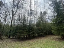 Prodej pozemku, Volfířov - Brandlín, 5958 m2