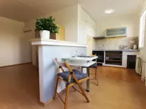 Pronájem bytu 1+kk, Teplice, Alejní, 31 m2