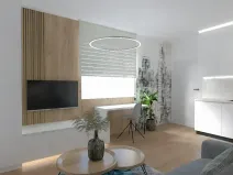 Prodej bytu 1+kk, Brno, Karlova, 25 m2