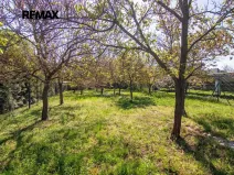 Prodej rodinného domu, Podivín, Sokolská, 220 m2