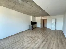 Pronájem bytu 1+kk, Brno, 38 m2