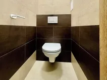 Pronájem bytu 2+kk, Plzeň, Klatovská třída, 50 m2