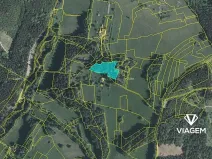 Prodej podílu lesa, Valašská Senice, 4990 m2
