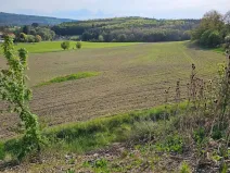Prodej pole, Lešany, 19116 m2