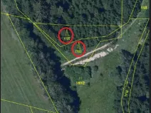 Prodej lesa, Zubří, 843 m2