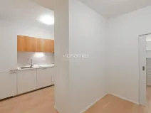 Pronájem bytu 1+kk, Praha - Vinohrady, Lucemburská, 30 m2
