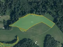 Prodej louky, Postřelmůvek, 100708 m2