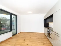 Pronájem bytu 2+kk, Praha - Nusle, Závišova, 42 m2