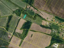 Prodej pole, Bantice, 42254 m2