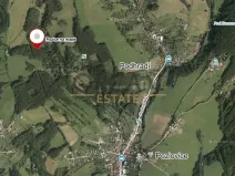 Prodej lesa, Pozlovice, 9893 m2