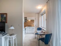 Prodej bytu 1+1, Brno - Veveří, Mášova, 30 m2